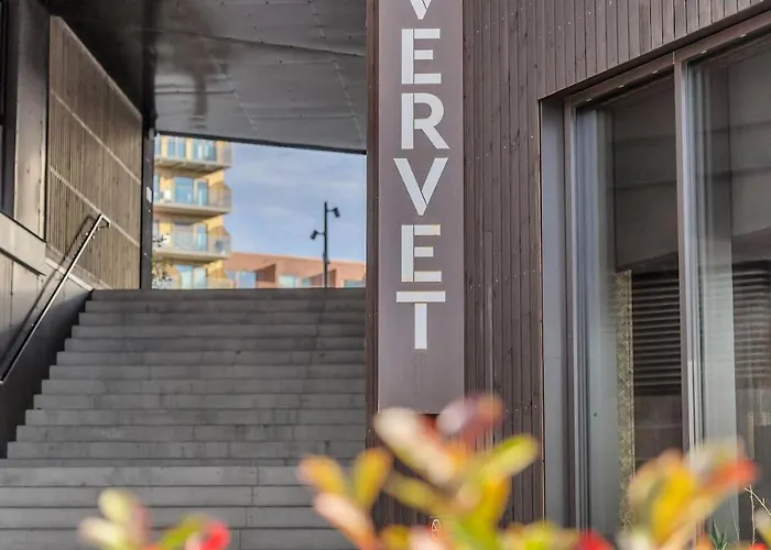 Vervet * トロムソ